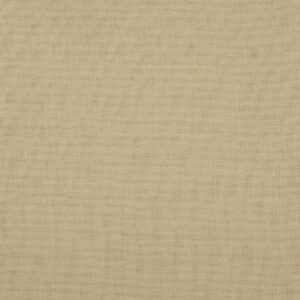 Sand Yellow Plain