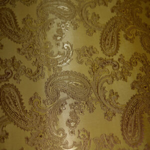 JACQUARD PAISLEY - Lime & Red Green