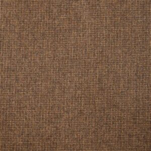 Medium Brown Hairline