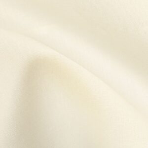 Cream White Plain