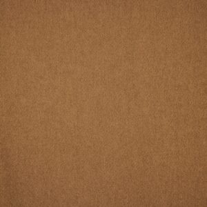 Light Brown Coating