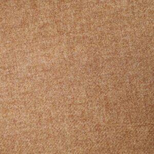 Plain Camel